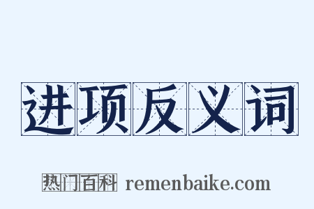 进项反义词是什么意思的图片